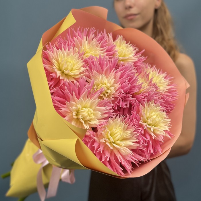 9 розово-желтых игольчатых георгин Джаст Меррид